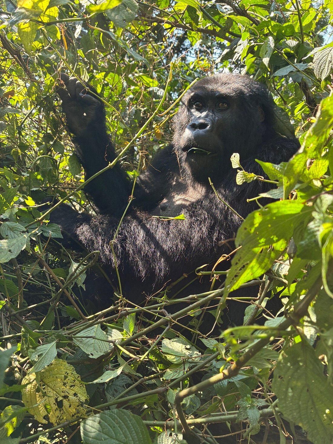 Lake Mburo National Park