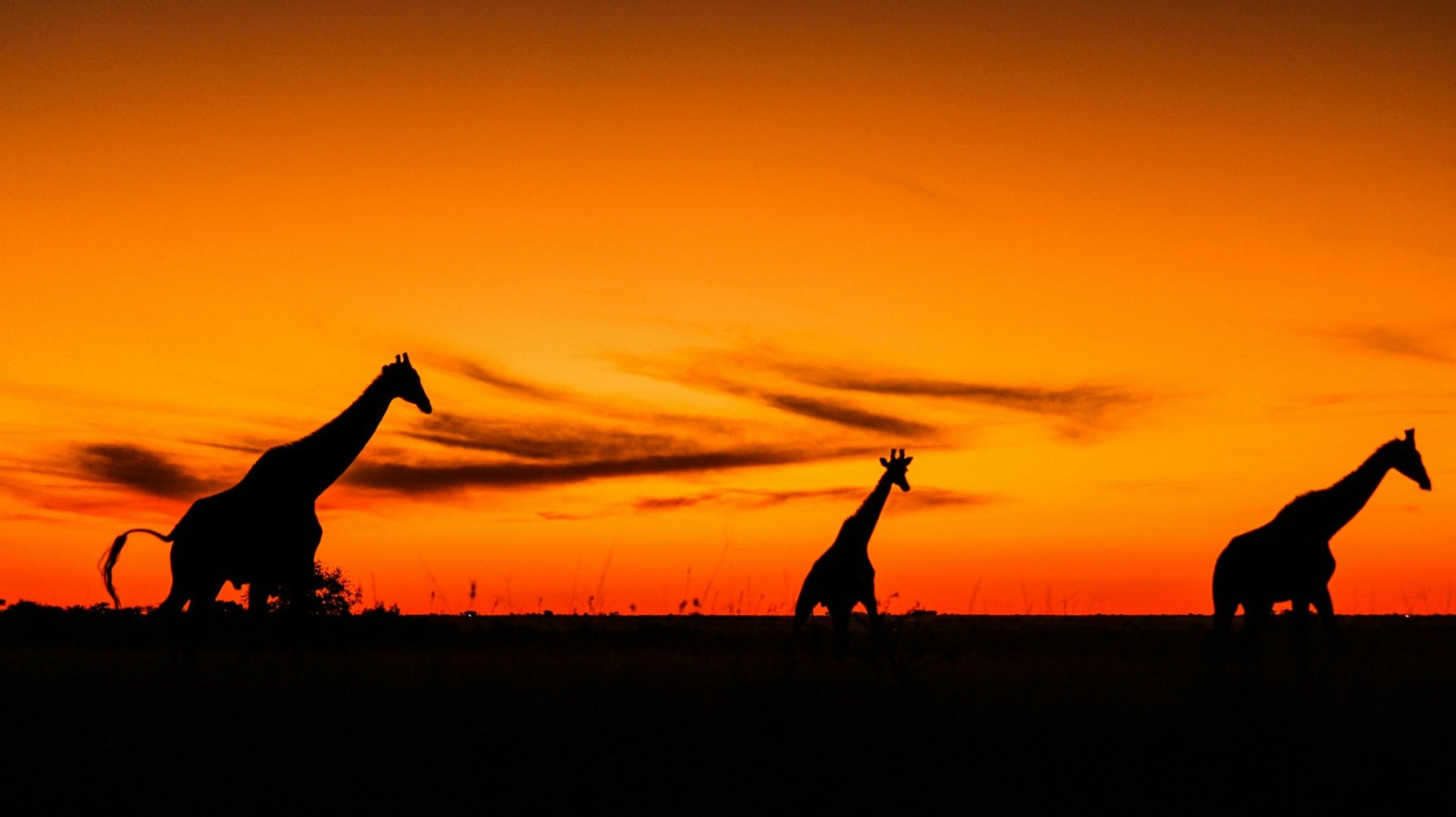 Murchison Falls National Park
