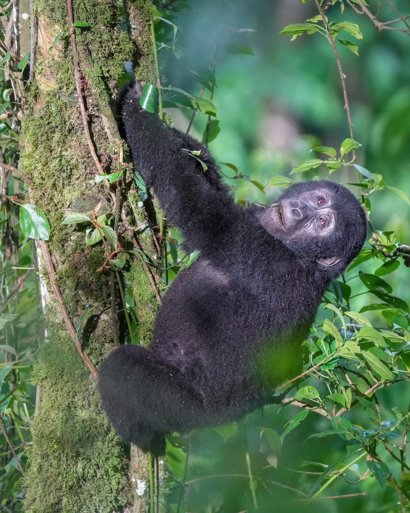 Uganda Scenic Journey
