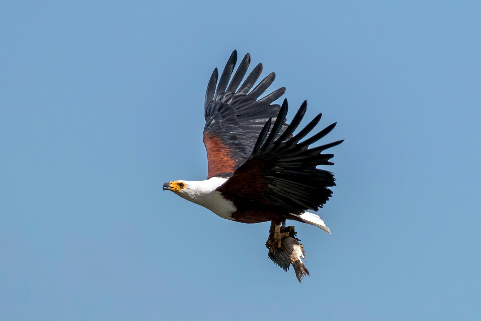 Uganda Scenic Journey