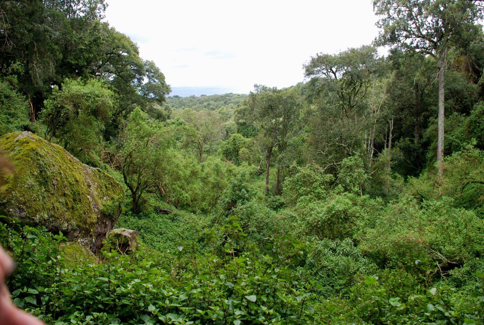 Mount Elgon National Park