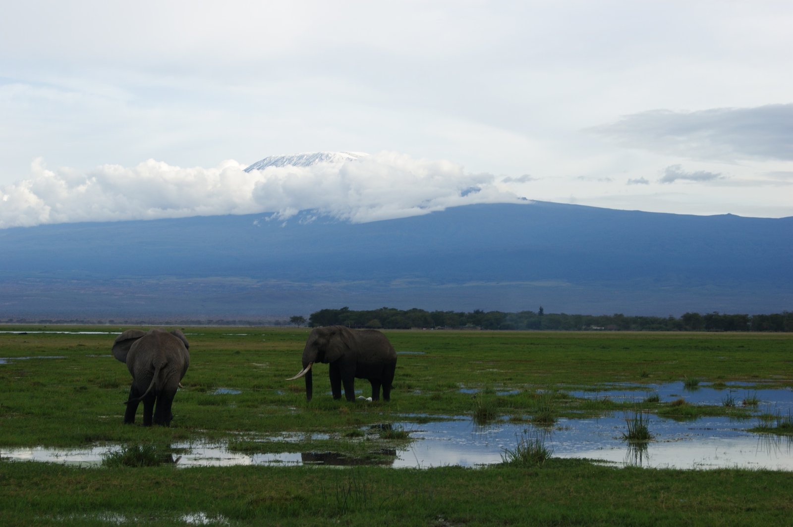 9-Day Kenya Safari and Coastal Extension: Amboseli, Mara & Mombasa
