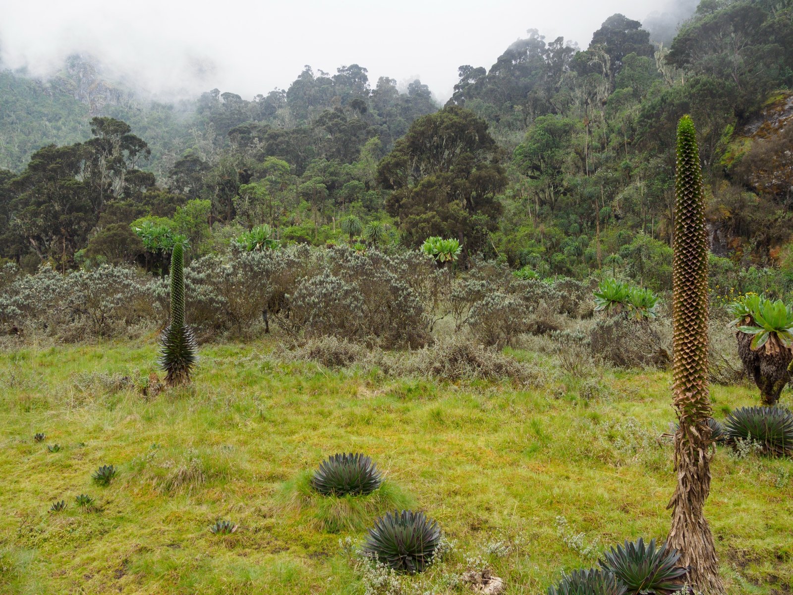 Semuliki Hot Springs & Albertine Rift Extension