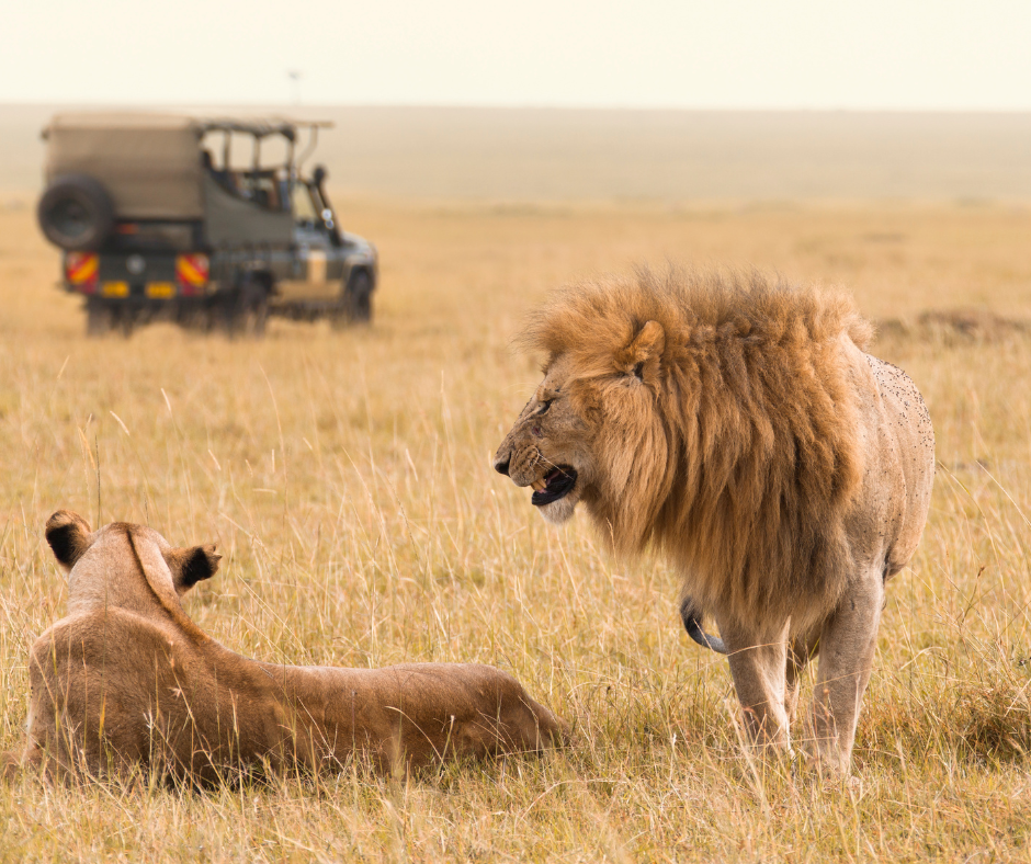 HALAL-FRIENDLY SAFARIS IN UGANDA.