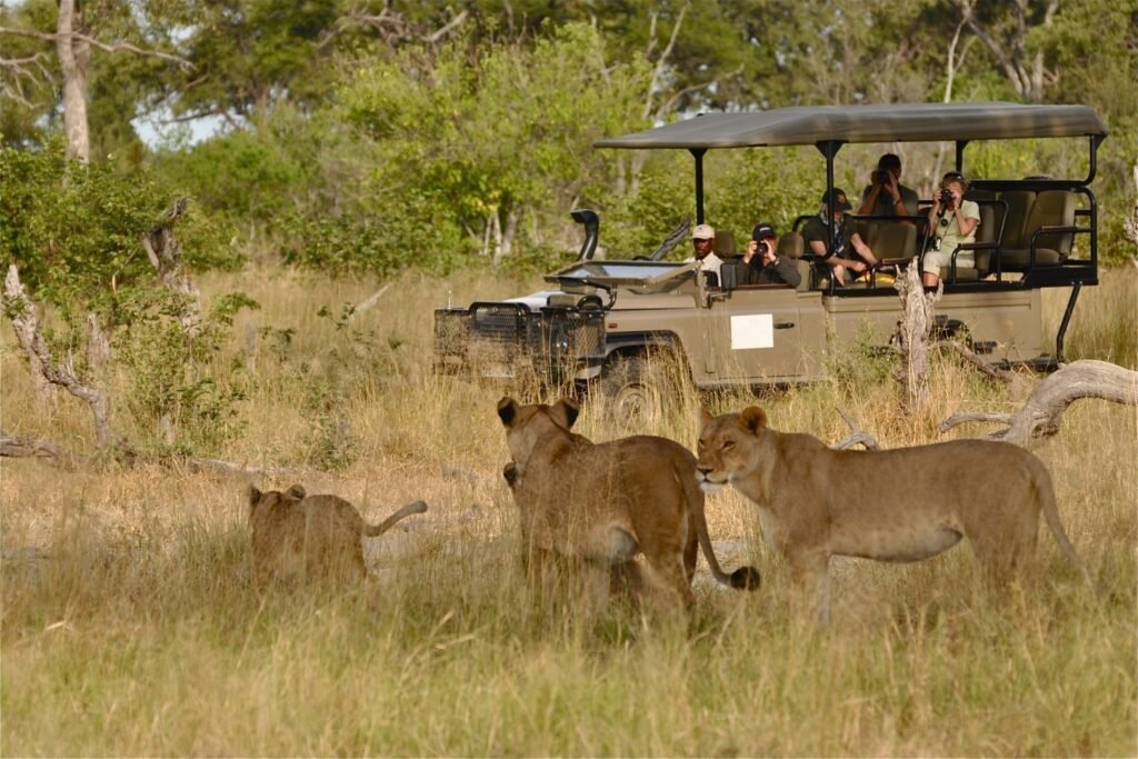 game drive