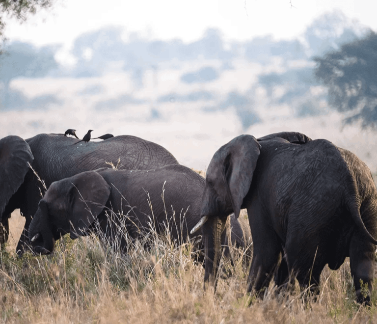 kIDEPO NATIONAL PARK