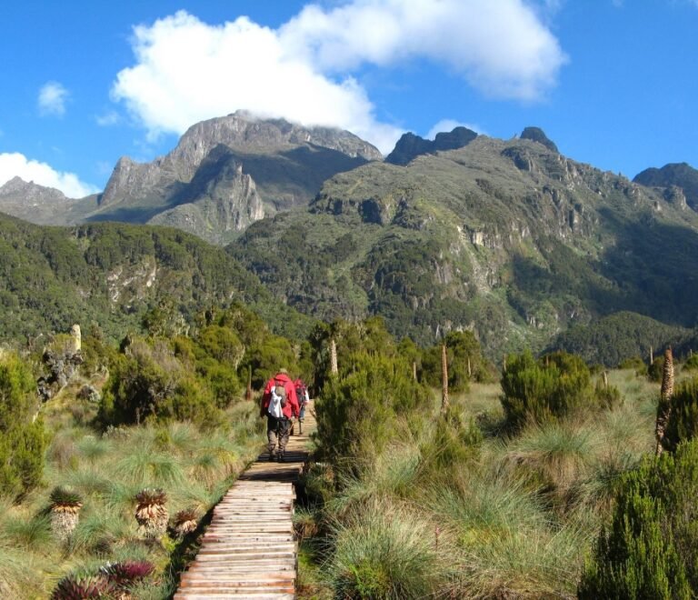 mount rwenzoir
