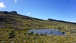 mt elgon national park 1