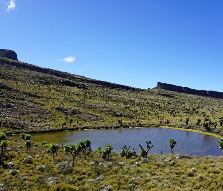 mt elgon national park 1