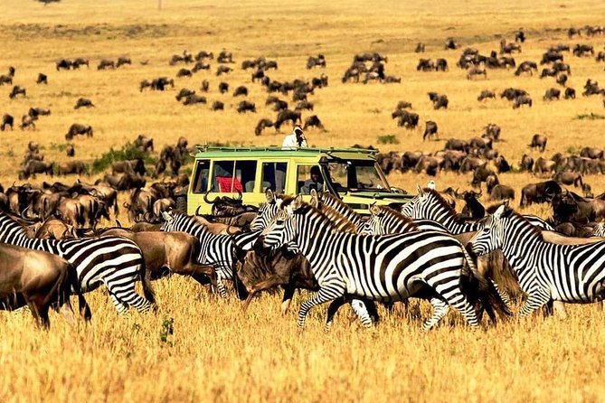 1 4 day mid range safari serengeti ngorongoro and tarangire national park